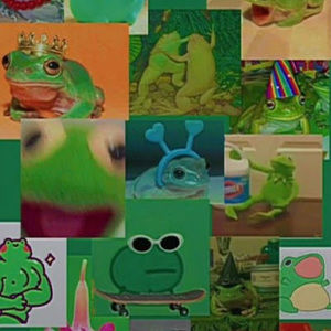 Meet your Posher, Cj